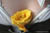 brf0609b 173
