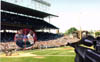 cubsfan