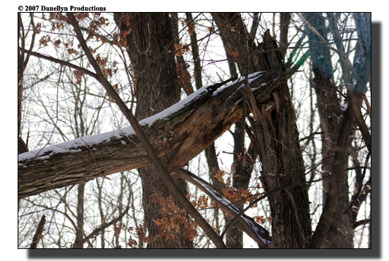 deerhunting0014
