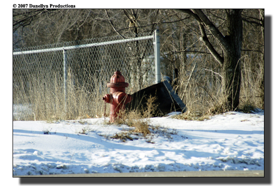 deerhunting0027
