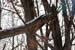 deerhunting0014