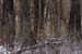 deerhunting0016
