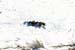 deerhunting0029