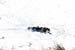 deerhunting0031
