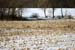deerhunting0033