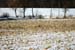 deerhunting0034