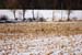 deerhunting0039