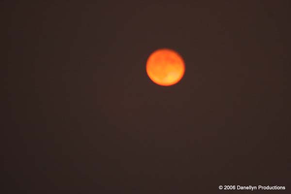 fullmoonjam8-9-06 017