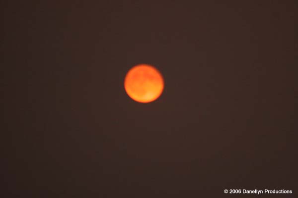 fullmoonjam8-9-06 018