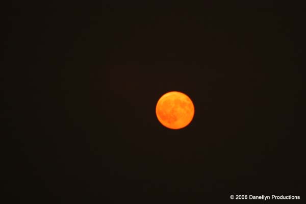fullmoonjam8-9-06 021