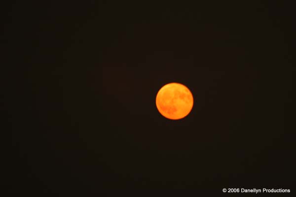 fullmoonjam8-9-06 022