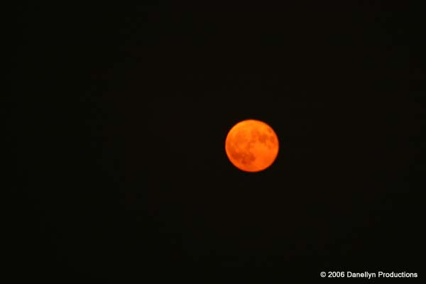 fullmoonjam8-9-06 023