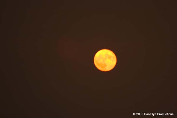 fullmoonjam8-9-06 024