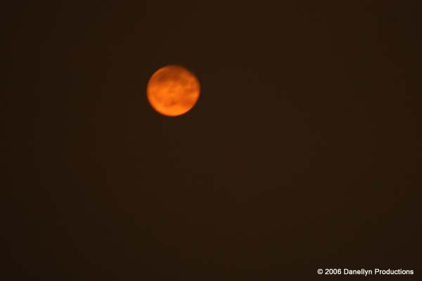 fullmoonjam8-9-06 035