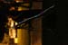 fullmoonjam8-9-06 031