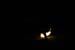 fullmoonjam8-9-06 061