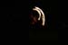 fullmoonjam8-9-06 077