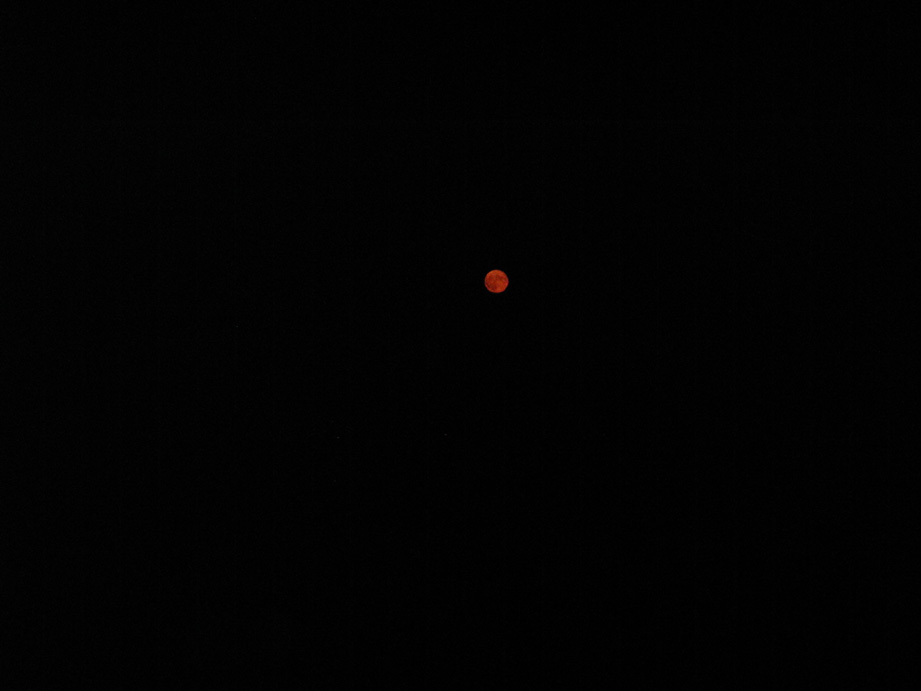 P8190017