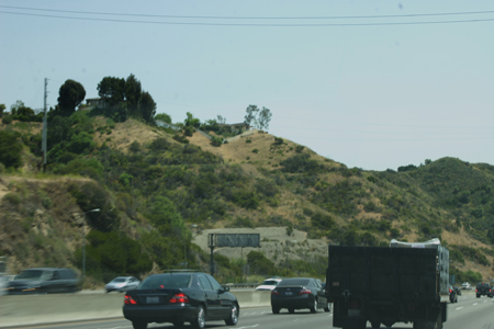 hollywood007
