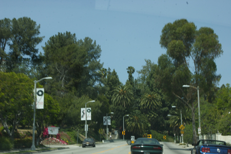 hollywood012