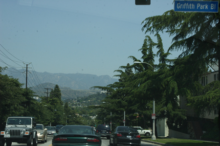 hollywood016
