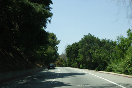 hollywood021