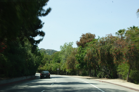 hollywood022