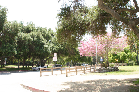 hollywood029