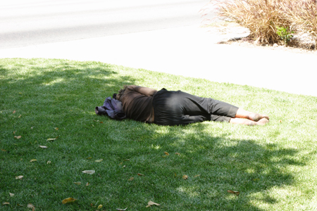 hollywood039