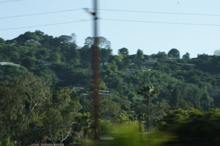 hollywood052