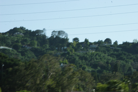 hollywood054