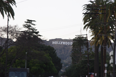 hollywood061