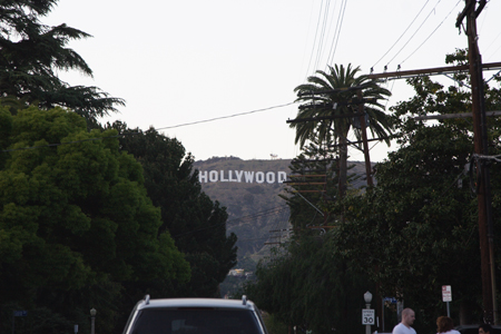 hollywood063