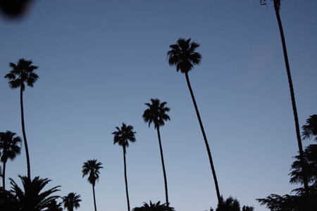 hollywood082
