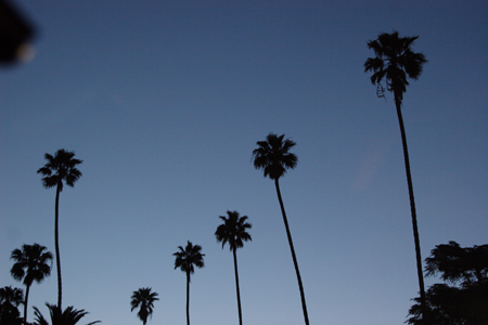 hollywood083