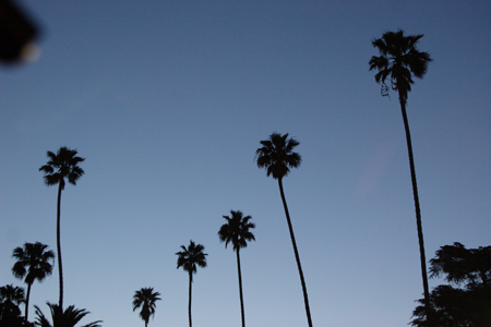 hollywood084