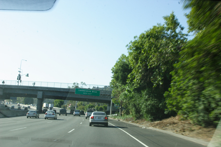 hollywood087