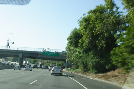 hollywood088