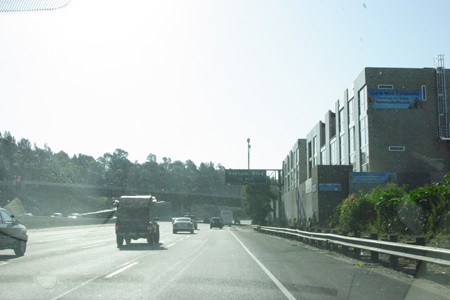 hollywood089