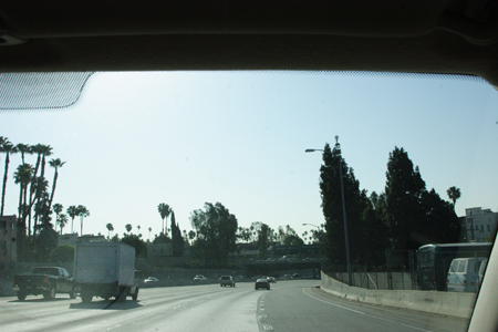 hollywood091