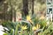 hollywood027