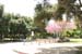 hollywood029