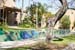 hollywood043