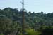 hollywood052