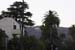 hollywood060