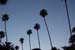 hollywood082