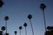 hollywood083