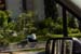 hollywood095