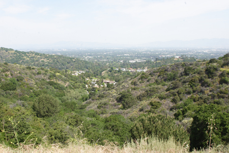 hollywood291