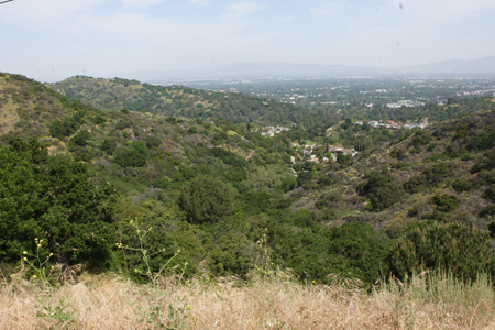 hollywood293